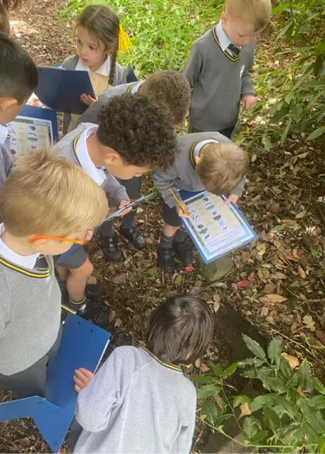 Searching for mini-beasts in Reception class at The Ryleys School, a private prep school in Cheshire